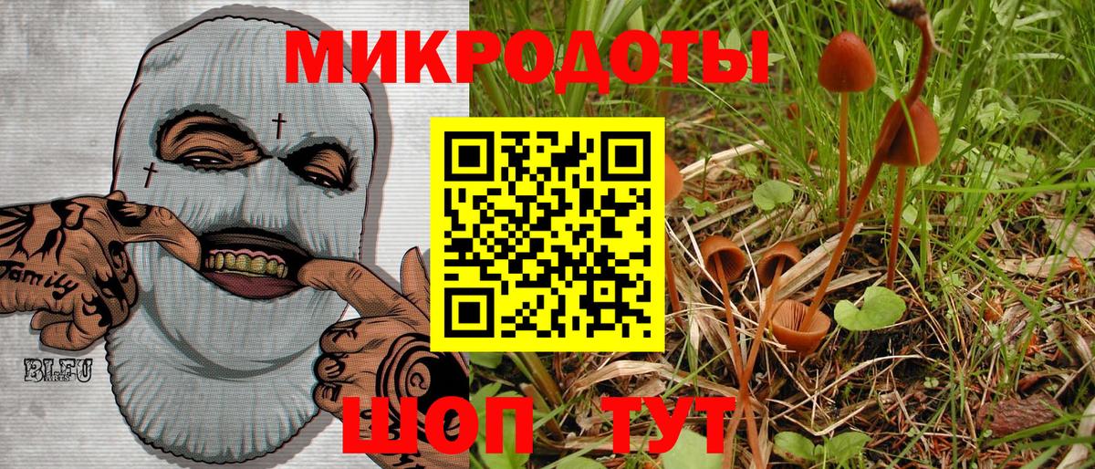 Галлюциногенные грибы Cubensis  Вход с VPN  Галлюциногенные грибы Cubensis  Новый Уренгой 